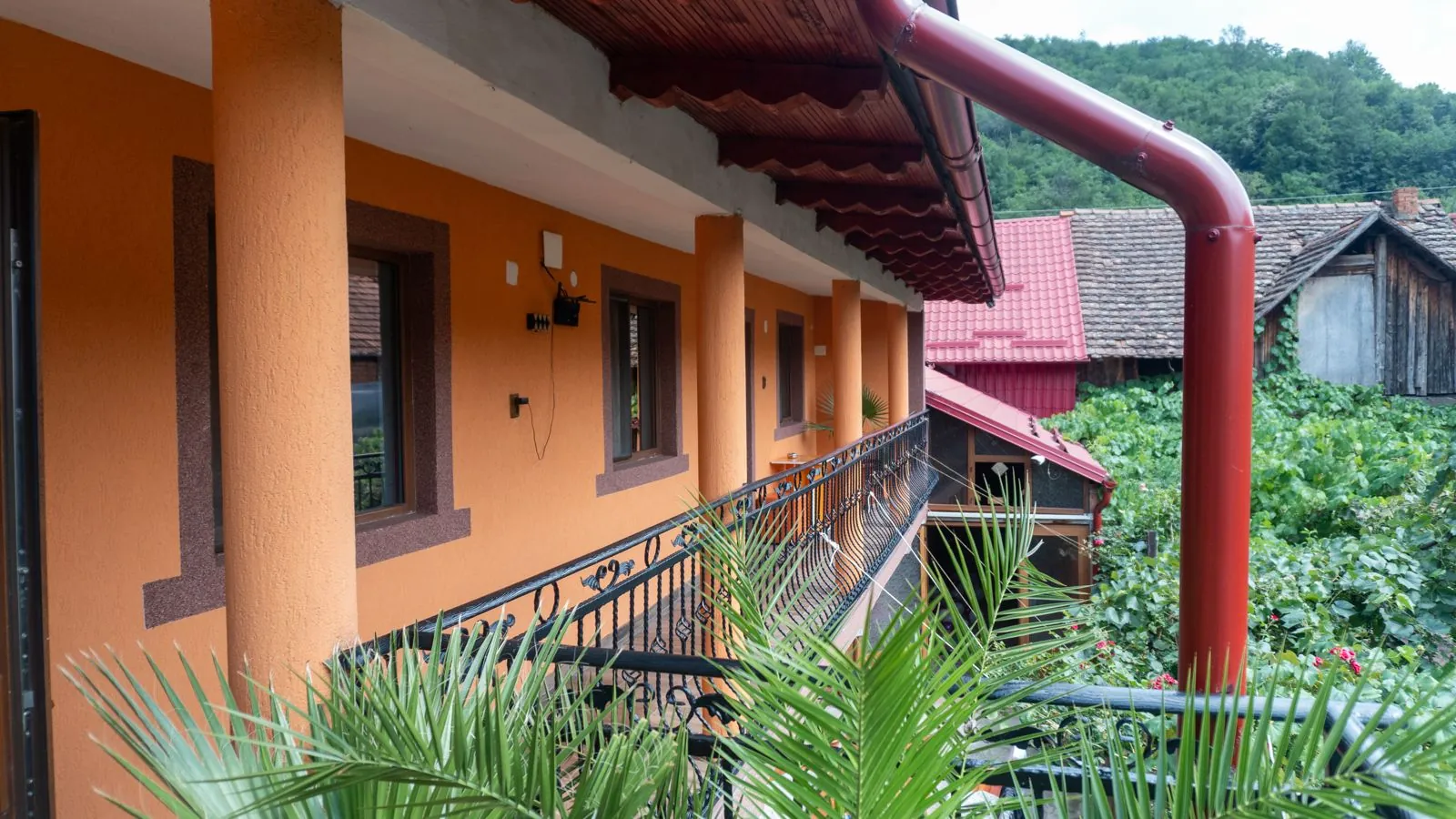 Balcon cu palmieri și vedere spre dealurile împădurite